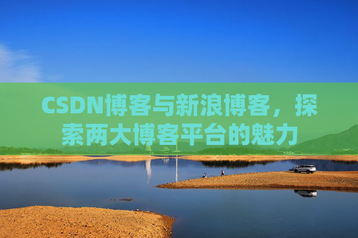 CSDN博客与新浪博客，探索两大博客平台的魅力